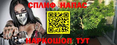 мдпв Малгобек