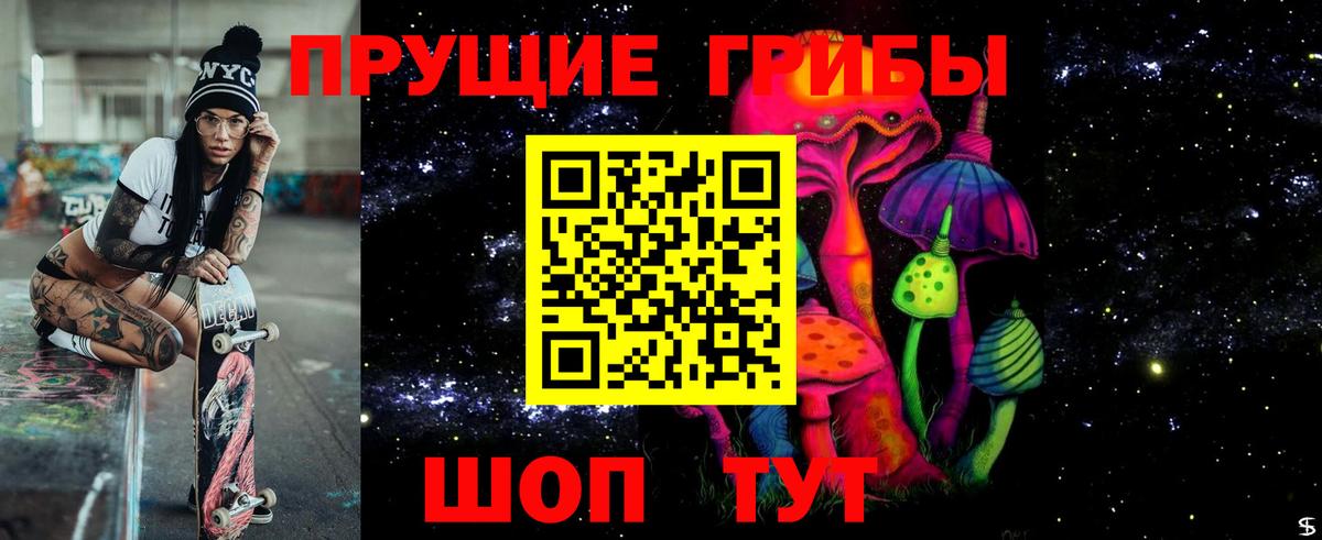 Псилоцибиновые грибы прущие грибы Чехов